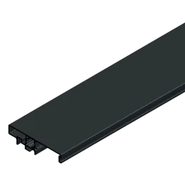 Breites Türgriffprofil PS48