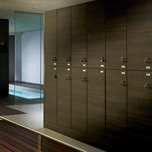 Vitrine-, druk-, geld- en hangsloten