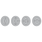 Set runde Muschelgriffe, verriegelbar/entriegelbar