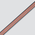 Geëlektrificeerde rail Minirail