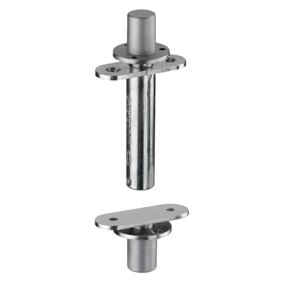 Pivot de porte inox 65 kg