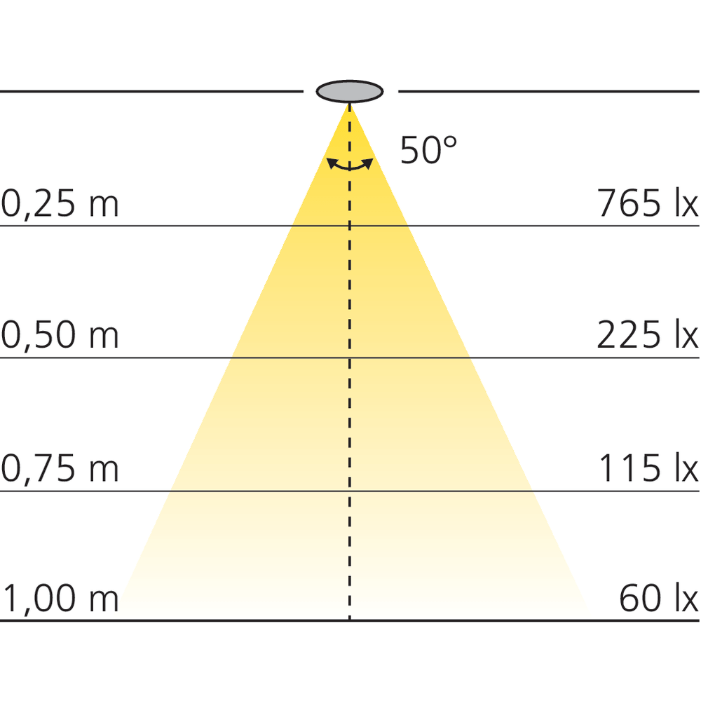 Spot LED à luminosité intense 12 V