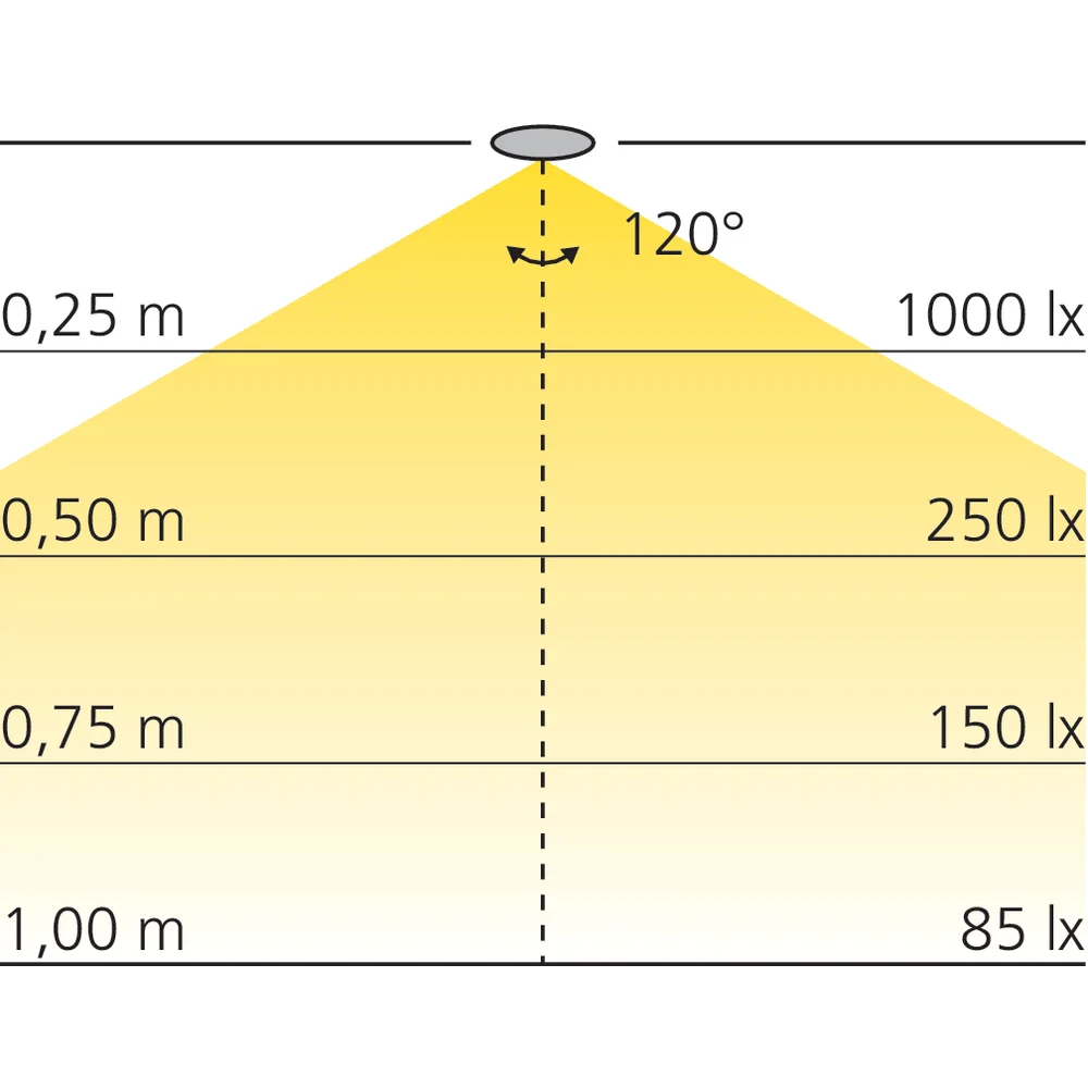 Spot LED 230 V Ø55 mm