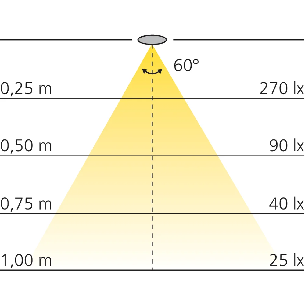 Spot LED incliné 12 V