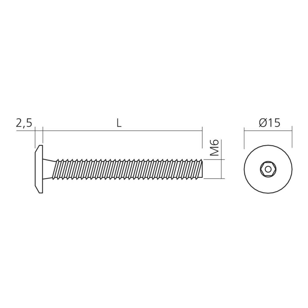 Vis tête plate M6