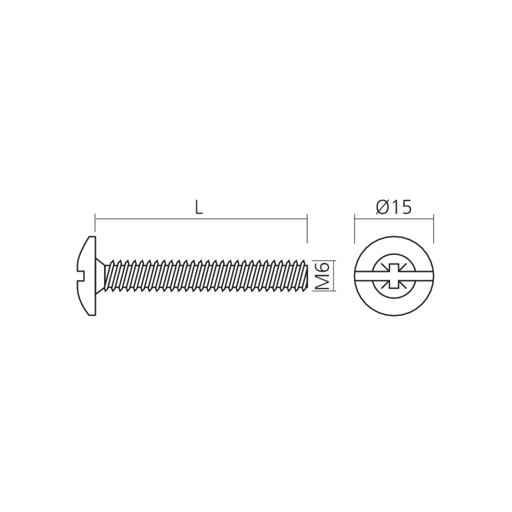 Vis métaux M6