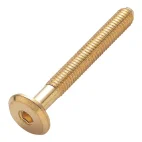 Tellerkopfschraube M6