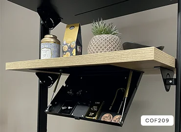 Safe mit Fingerabdruckerkennung COF209