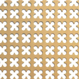 Rooster voor radiator