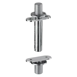 Pivot/taatsdeurscharnier inox 65 kg