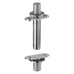 Pivot/taatsdeurscharnier inox 65 kg
