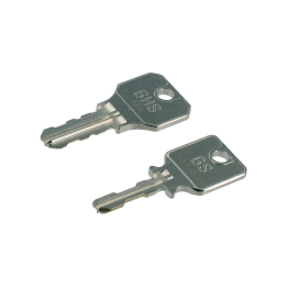 Passe-partoutsleutel